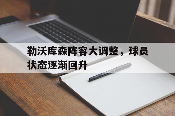 勒沃库森阵容大调整，球员状态逐渐回升的简单介绍